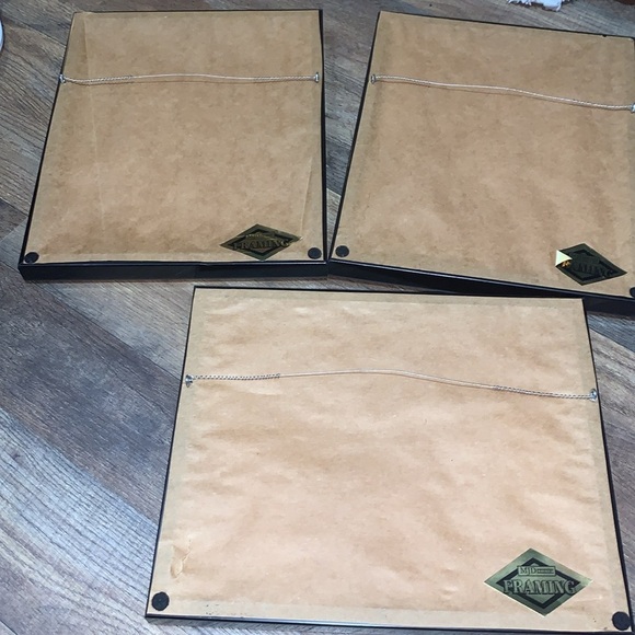 Set of 3 Professionally Framed Boston Terrier Gallery Wall Prints Vintage Photos - Picture 9 of 17